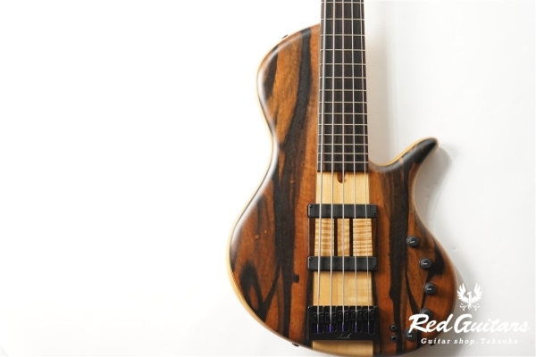 Platinum Series Single-Cut , e-volution 5 - Macassar Ebony